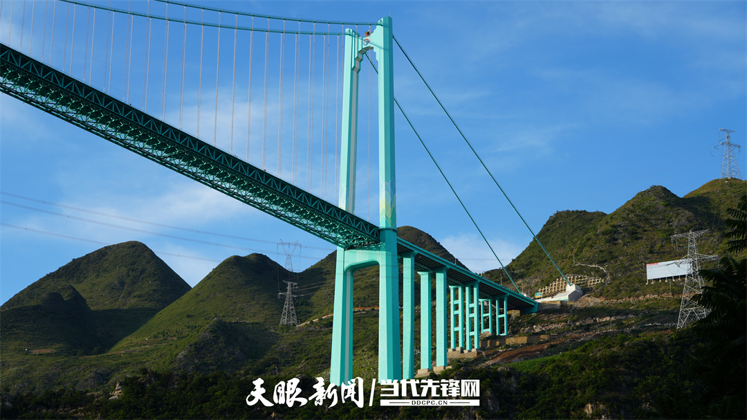 17586119054306.jpg 17586046572911.jpg