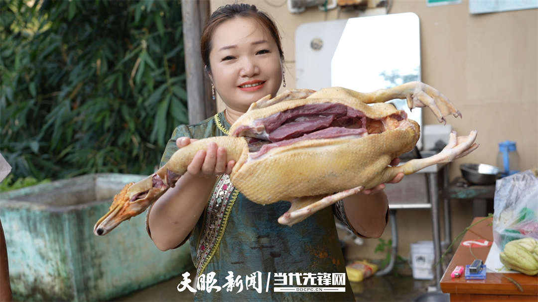 17586118986922.png 17586046586640.png