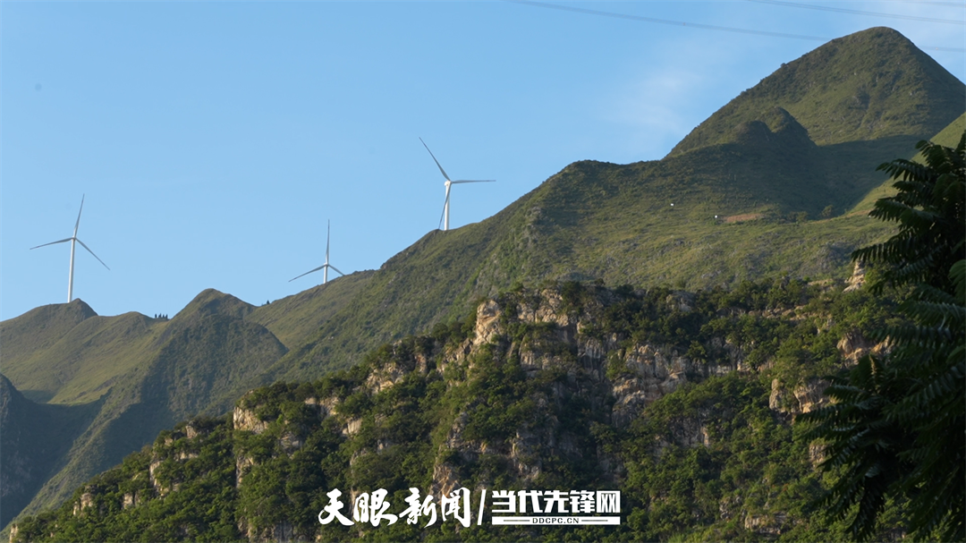 17586118933748.png 17586046595447.png