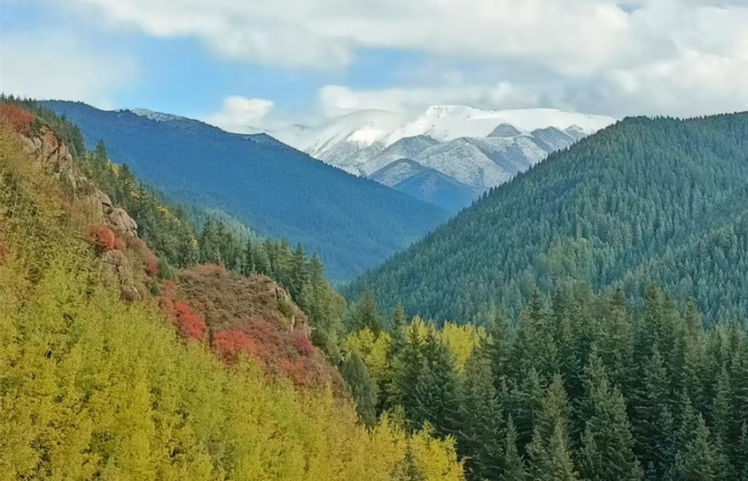 山丹焉支山秋色斑斓满目景