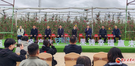 今年中国苹果产销峰会暨静宁苹果招商推介大会16日召开