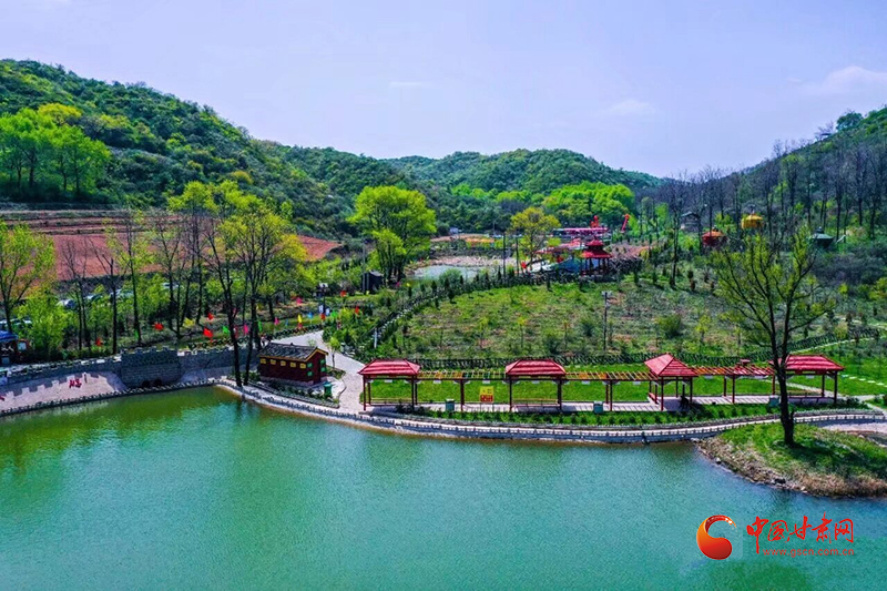 崇信：全域发力建和美乡村 绘就乡村振兴新图景