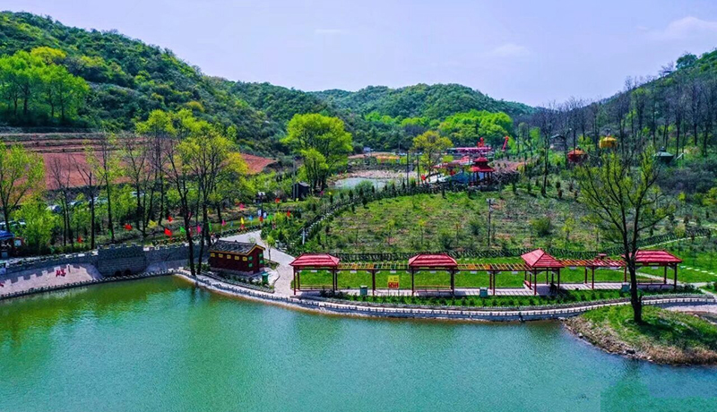 崇信：全域发力建和美乡村 绘就乡村振兴新图景