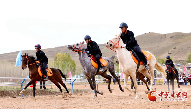 陇拍客丨祁连山下骏马驰骋引游客