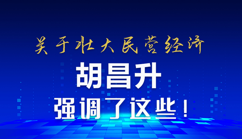 图解|关于壮大民营经济 胡昌升强调了这些！