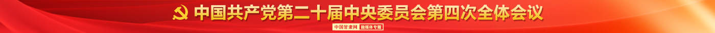 二十届四中全会