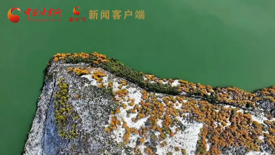 太子山秋韵：高原风拂层林处