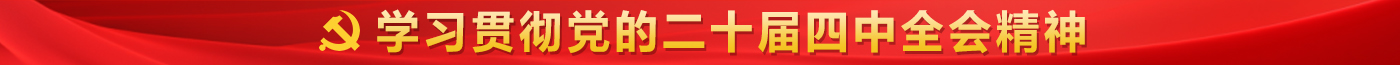 学习贯彻二十届四中全会精神