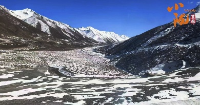 张掖：深秋时节 雪降祁连成诗画