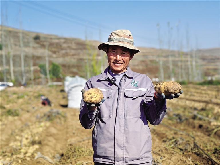 技术创新稳产量 北繁南种拓市场