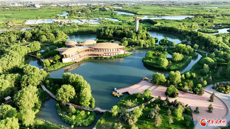 当“九色鹿”跃入张掖 西部生态名城再绘“绿水青山”新卷