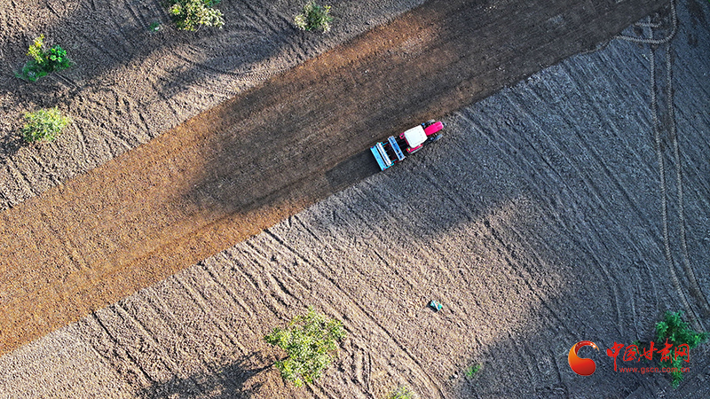成县：15万余亩冬小麦秋播接近尾声