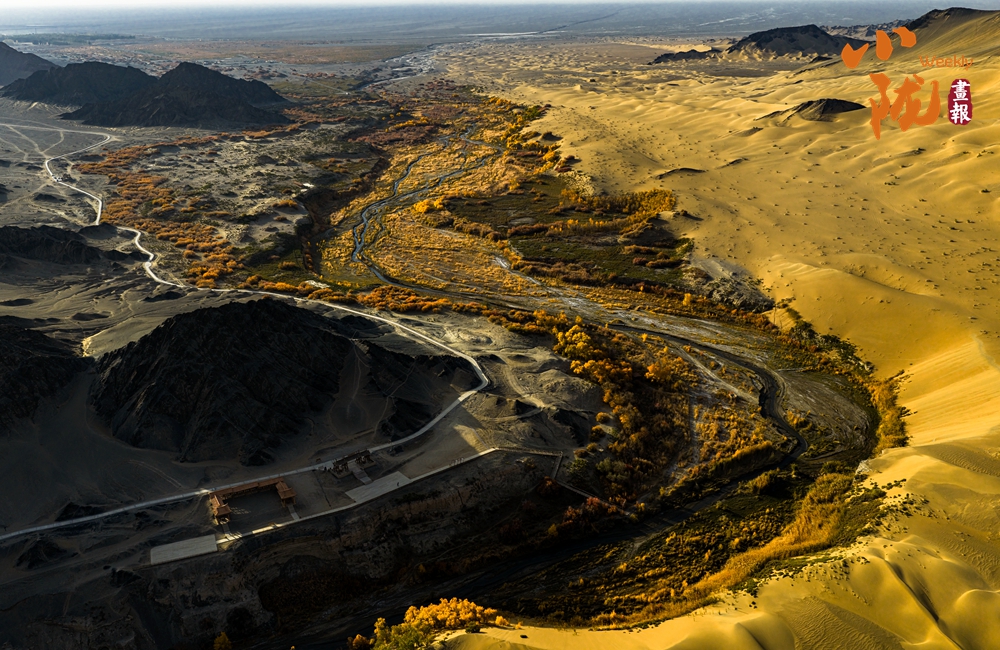 多坝沟胡杨峡 隐藏着大西北的极致秋色