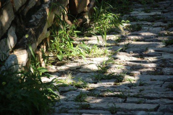 西井峪村“西磨道”的石路。新华社记者曾晋摄