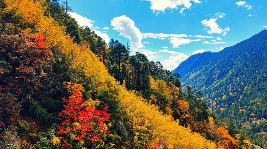 云南怒江塞瓦龙巴牧场