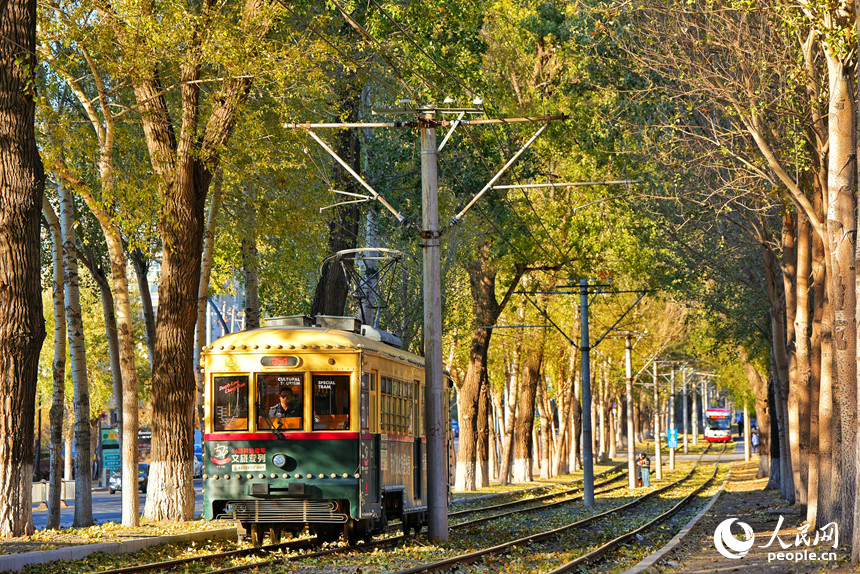 54路文旅专列驶入秋日的“油画”中。人民网记者 李洋摄