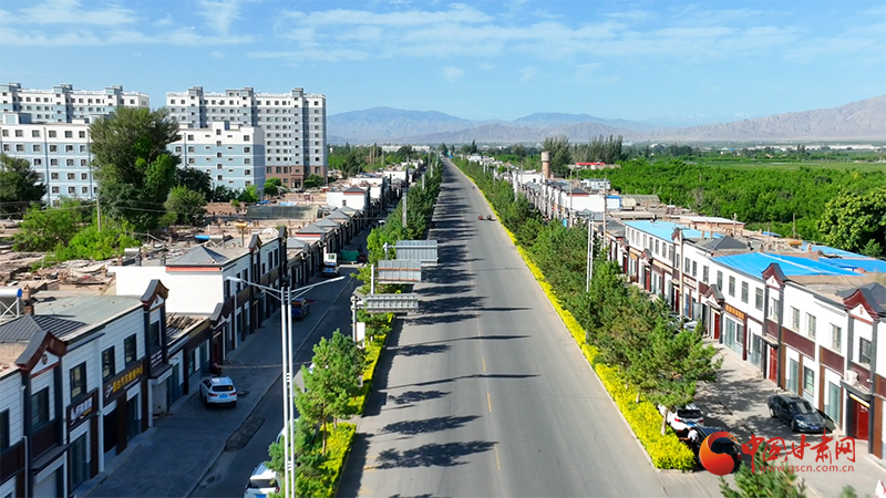 临泽：“幸福小院”建设绘就乡村振兴新画卷