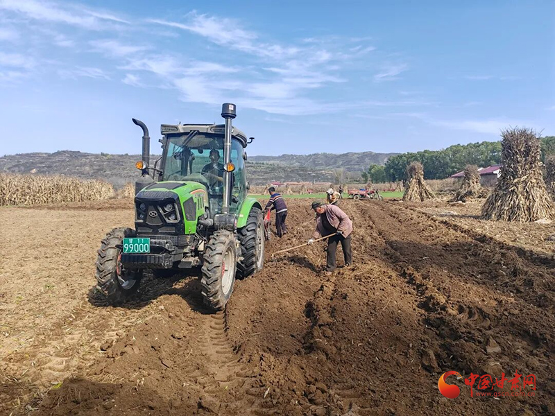 华亭：金秋处处好“丰”景 遍地金黄收割忙