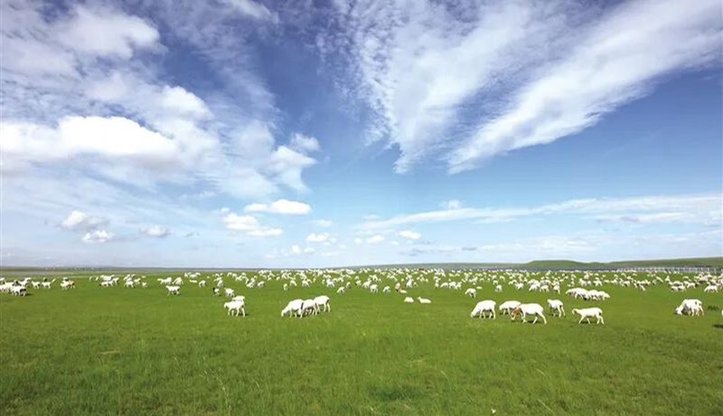 民乐：建好“高产田”夯实“粮袋子”