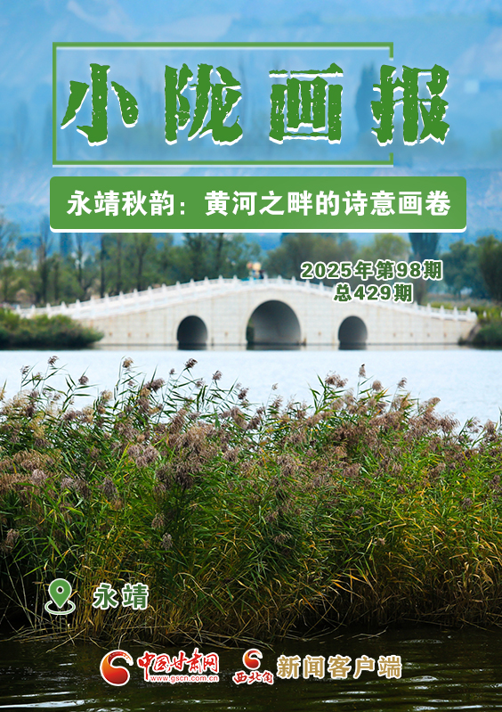 【小陇画报·429期】永靖秋韵:黄河之畔的诗意画卷