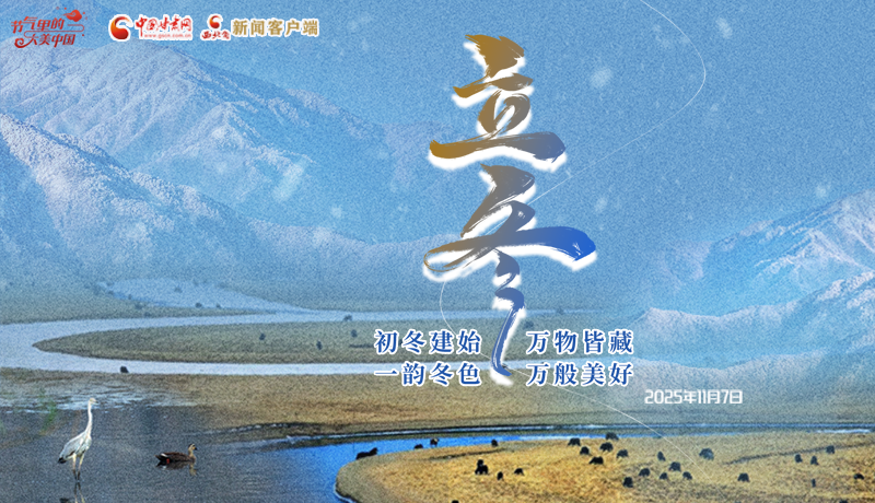 立冬:初冬建始 万物皆藏 一韵冬色 万般美好