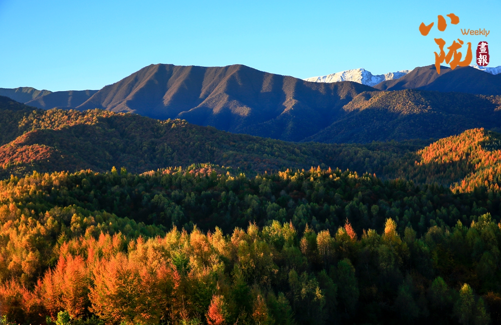 康乐:深秋美景如画卷 韵味盎然醉眼眸