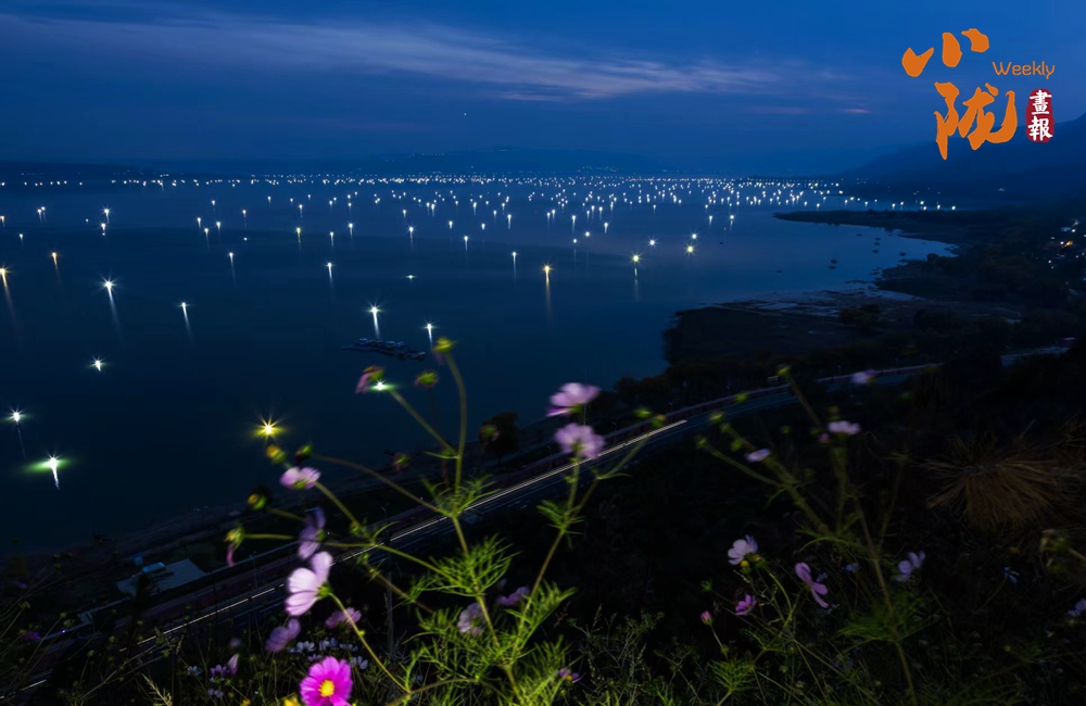 永靖秋韵:黄河之畔的诗意画卷