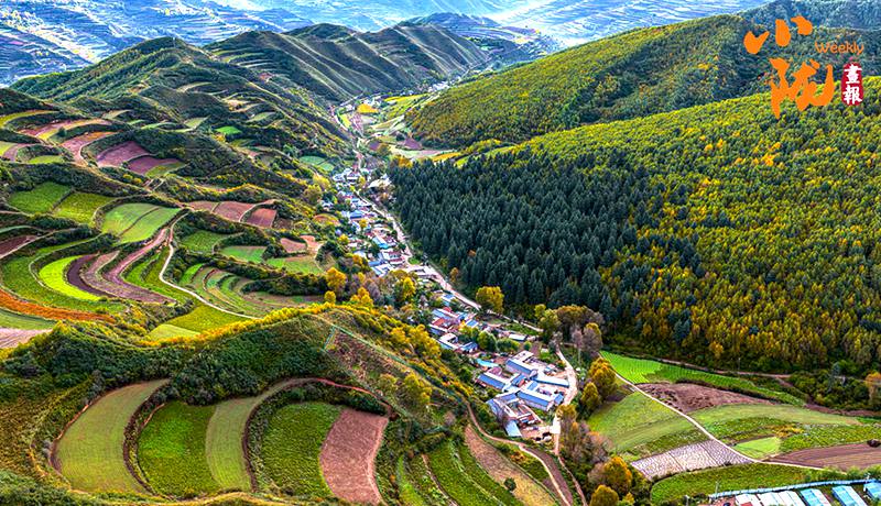 初冬时节 临潭最后一波秋色惊艳诱人