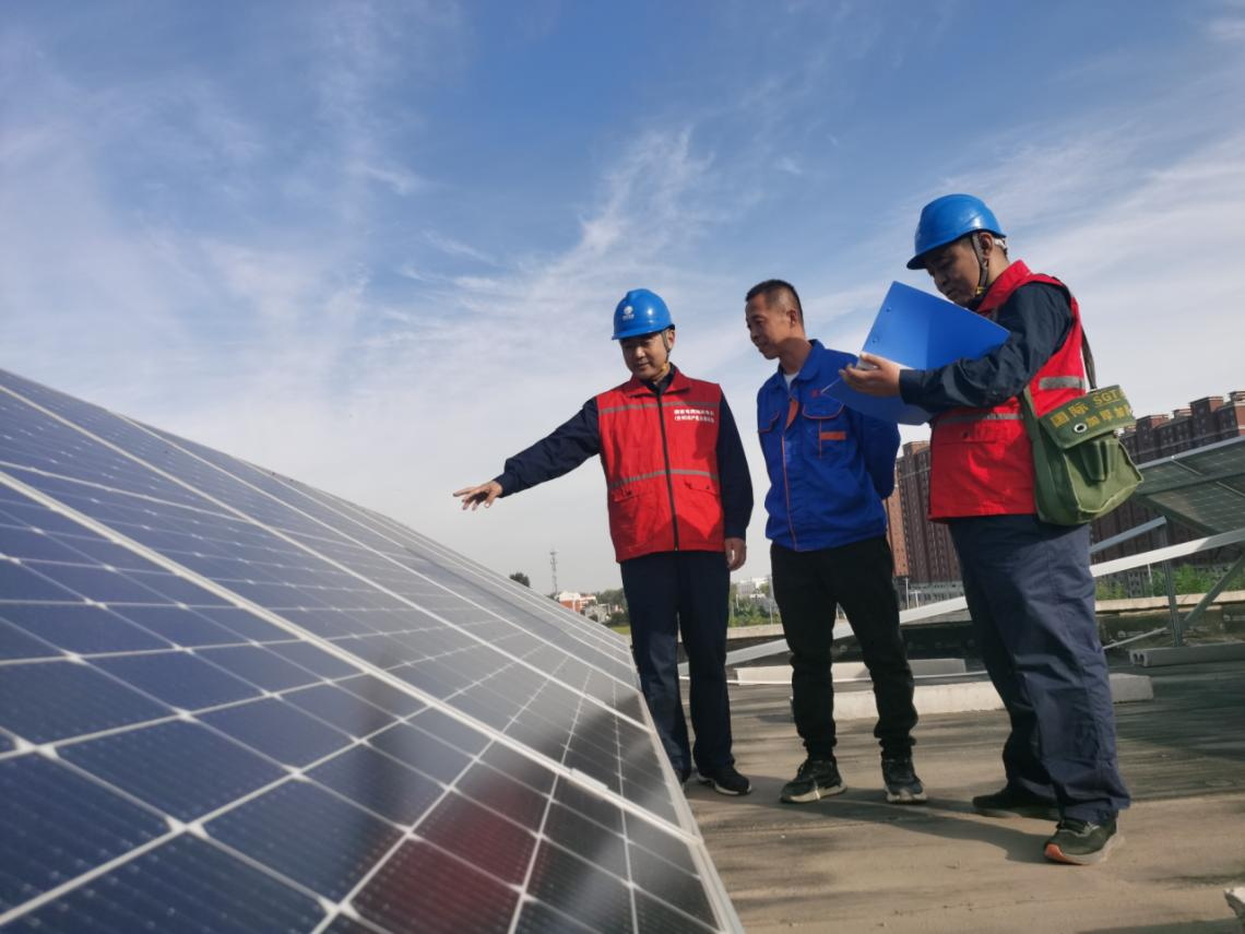 公司员工协助企业巡视地面分布式光伏设备。彭磊摄