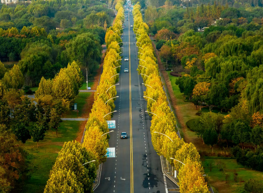 池州平天湖国家湿地公园。