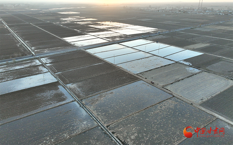 高台：冬灌“润”田垄 春盼“丰”满仓