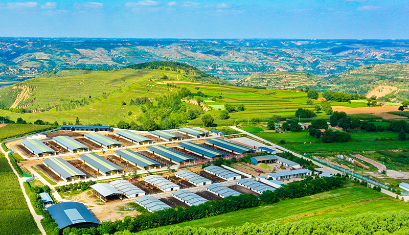 崇信：多元养殖强根基 全链发展促振兴