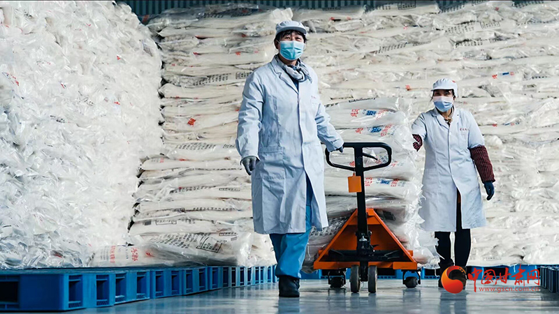 庄浪：以全链思维激活马铃薯产业新动能