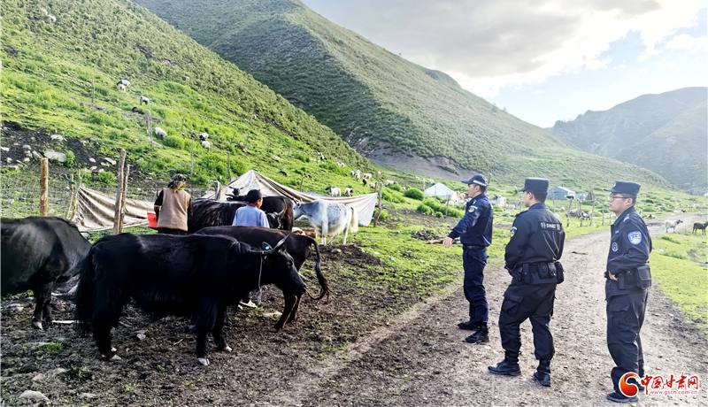 中甘特稿丨“阿旦”所长:把青春钉进车巴沟 把警徽戴进牧民心