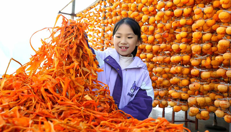 文县:贾昌“柿”业兴