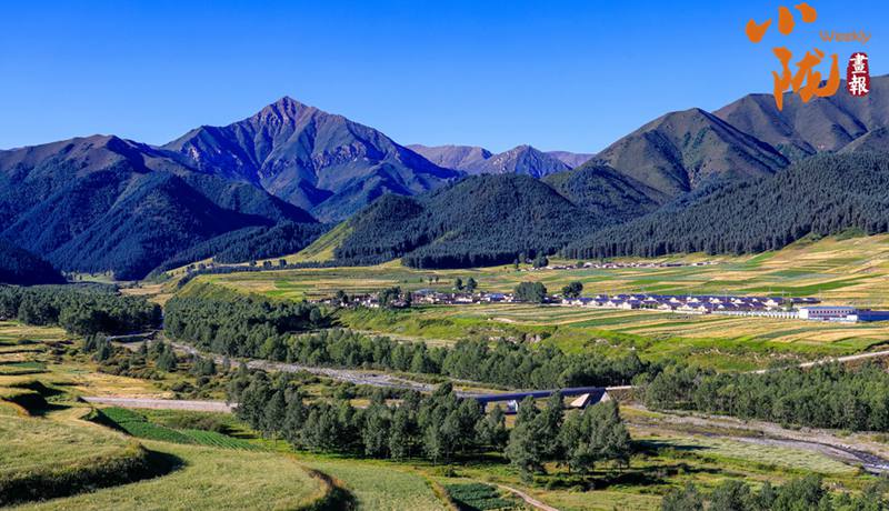 【小陇画报·433期】天祝哈溪:白雪绿林同框 冬日浪漫如画境