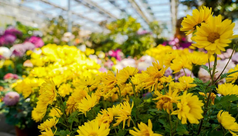 漳縣：“美麗經(jīng)濟(jì)”帶火全域旅游