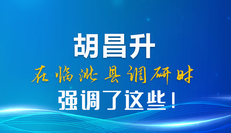 图解|胡昌升在临洮县调研时强调了这些!