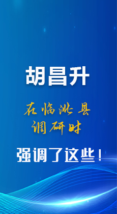 图解|胡昌升在临洮县调研时强调了这些！