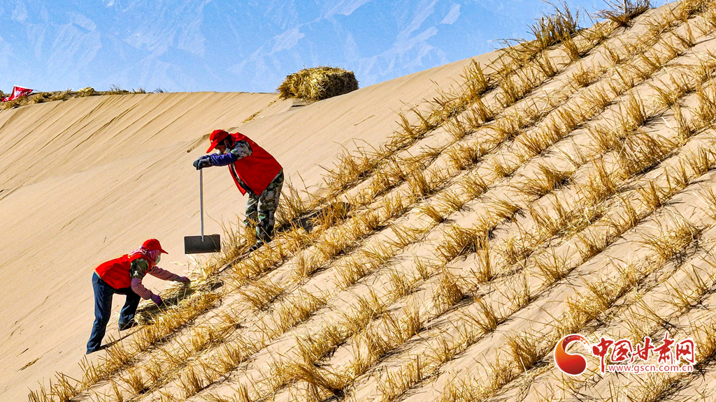 陇拍客丨肃南:初冬时节巴丹吉林沙漠忙“锁边”