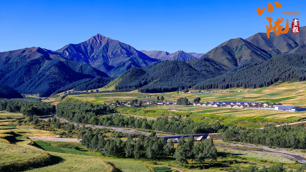 【小陇画报】天祝哈溪：白雪绿林同框 冬日浪漫如画境