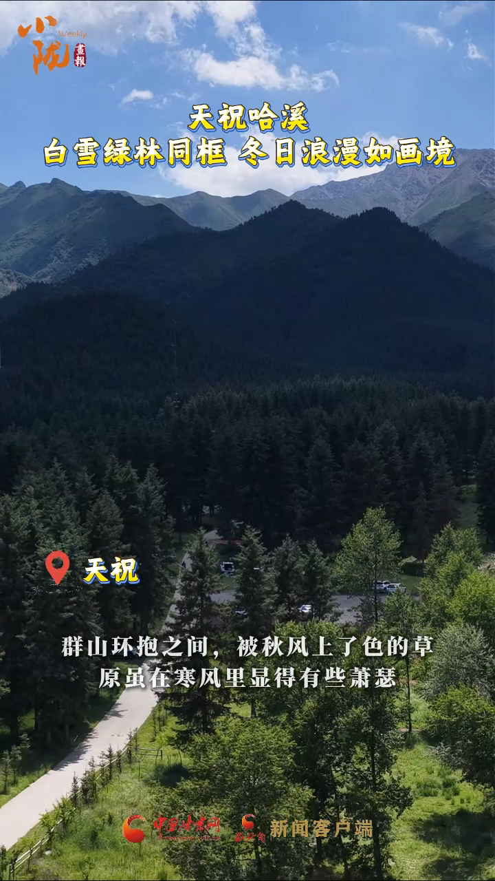 小陇画报短视频|天祝哈溪 白雪绿林同框 冬日浪漫如画境