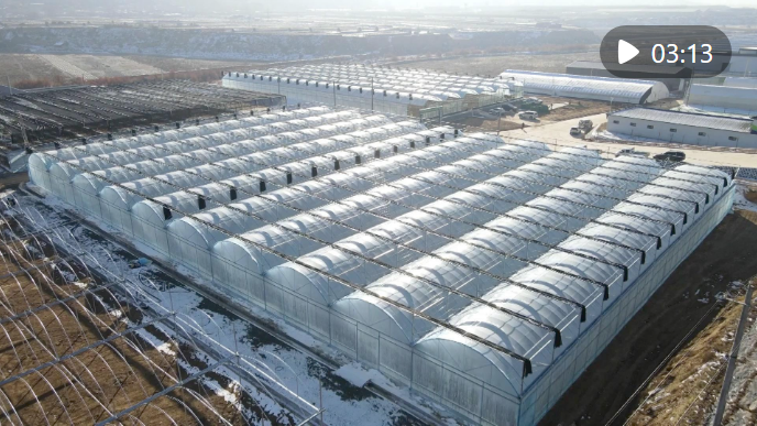 【甘快看】四中全会精神在基层｜甘肃定西：科技赋能 全年鲜蔬“不断档”