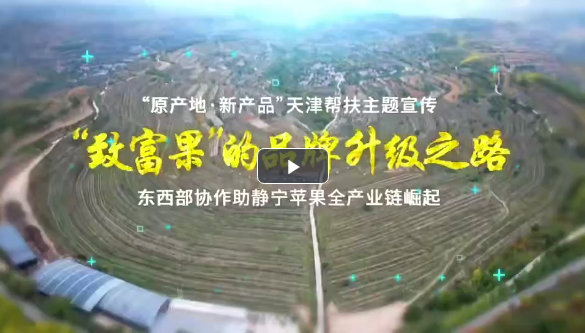 【甘快看】“致富果”的品牌升级之路——东西部协作助静宁苹果全产业链崛起