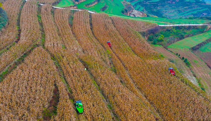 西和农机织就丰收景