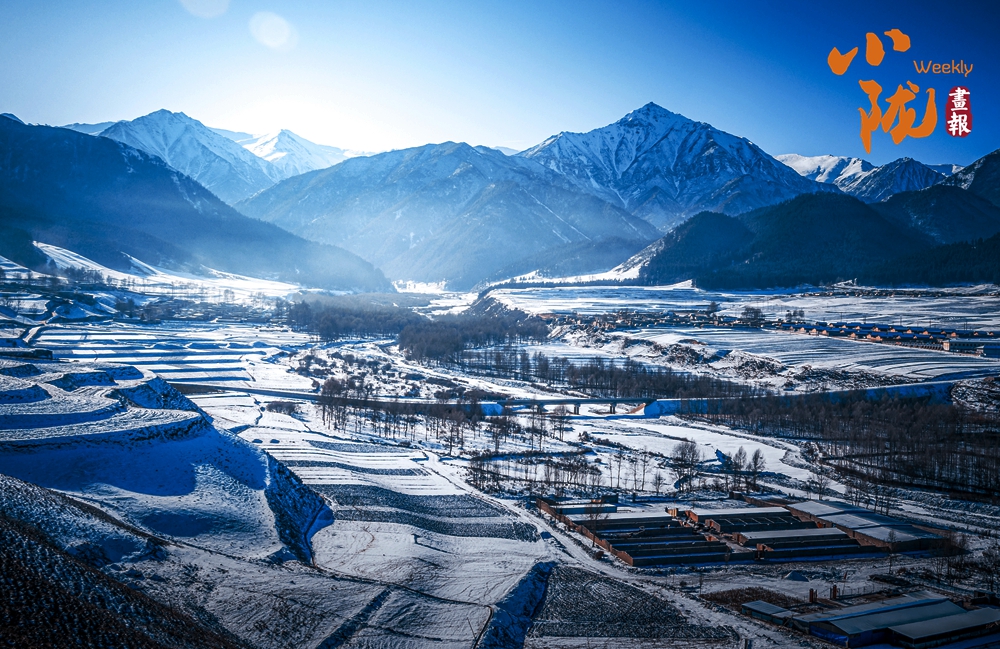 天祝哈溪:白雪绿林同框 冬日浪漫如画境