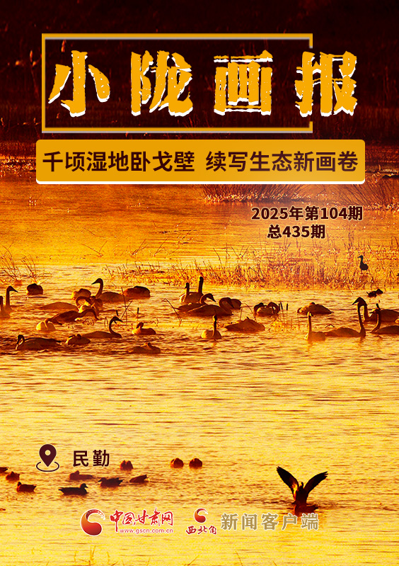 【小陇画报·435期】民勤:千顷湿地卧戈壁 续写生态新画卷
