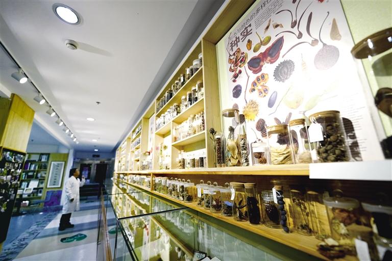 国家重要野生植物种质资源库辰山中心种子存量突破一亿粒