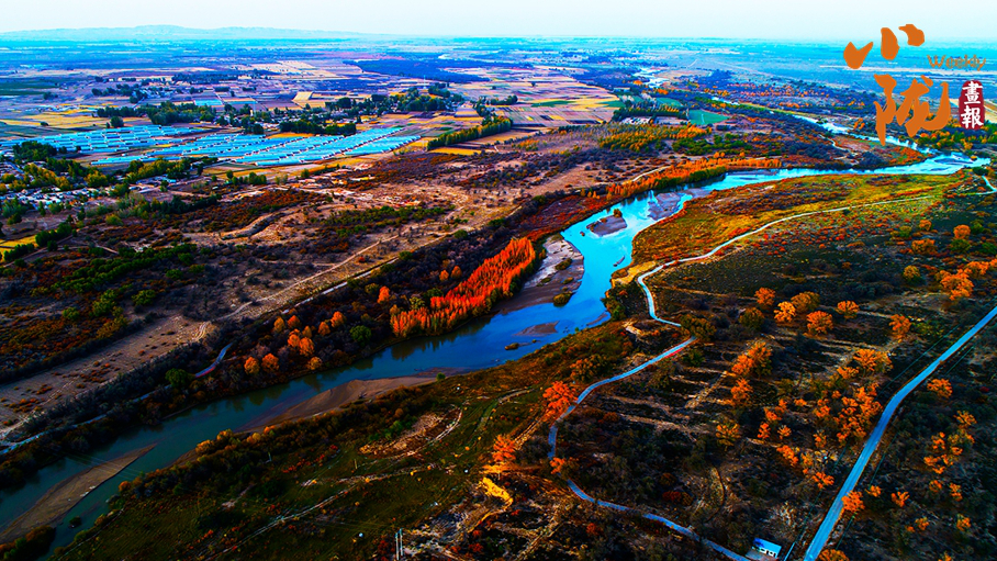 【小陇画报·435期】民勤:千顷湿地卧戈壁 续写生态新画卷