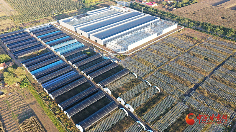 宁县：重大项目引领高质量发展新篇章